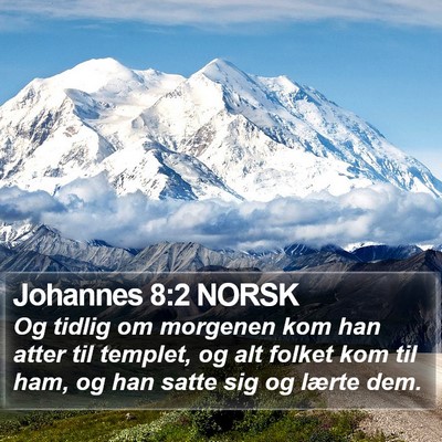 Johannes 8:2 NORSK Bible Verse Image