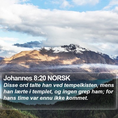 Johannes 8:20 NORSK Bible Verse Image