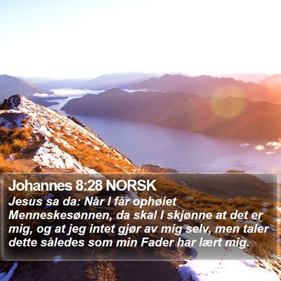 Johannes 8:28 NORSK Bible Verse Image
