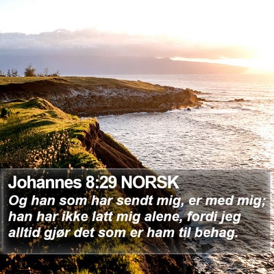 Johannes 8:29 NORSK Bible Verse Image