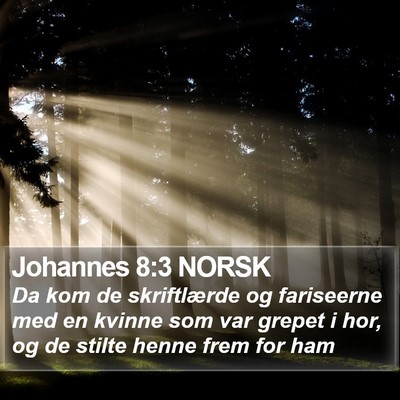 Johannes 8:3 NORSK Bible Verse Image