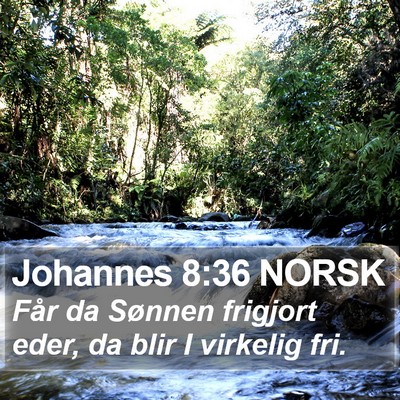 Johannes 8:36 NORSK Bible Verse Image