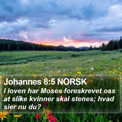 Johannes 8:5 NORSK Bible Verse Image