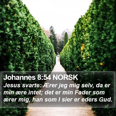 Johannes 8:54 NORSK Bible Verse Image
