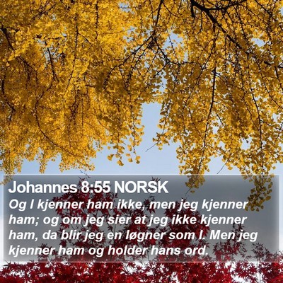 Johannes 8:55 NORSK Bible Verse Image