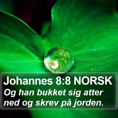 Johannes 8:8 NORSK Bible Verse Image