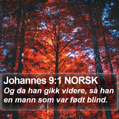 Johannes 9:1 NORSK Bible Verse Image