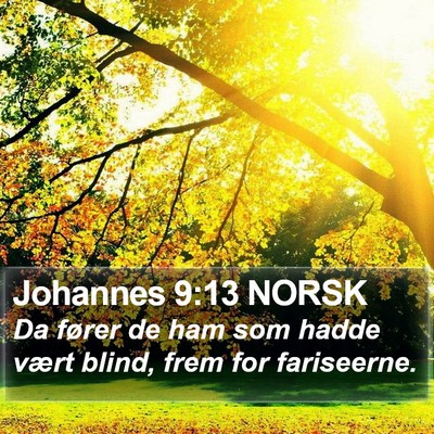 Johannes 9:13 NORSK Bible Verse Image