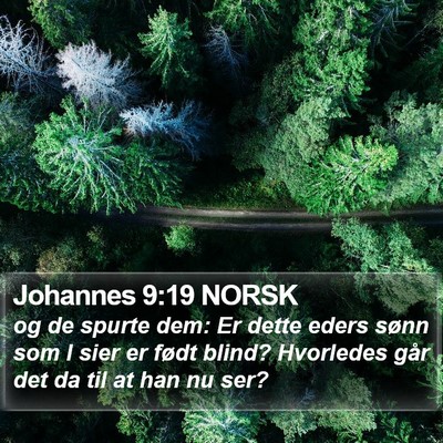 Johannes 9:19 NORSK Bible Verse Image