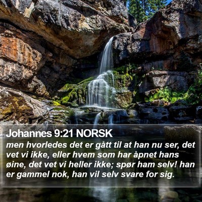 Johannes 9:21 NORSK Bible Verse Image
