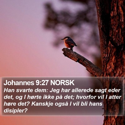 Johannes 9:27 NORSK Bible Verse Image