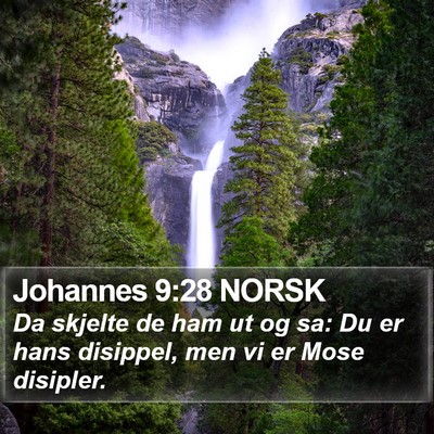 Johannes 9:28 NORSK Bible Verse Image