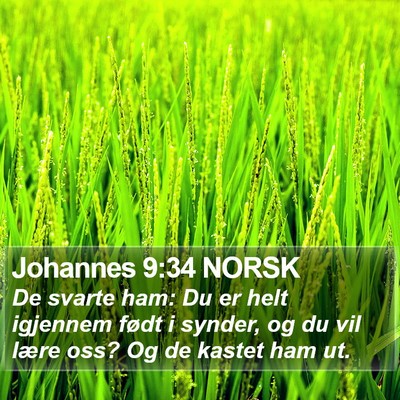Johannes 9:34 NORSK Bible Verse Image