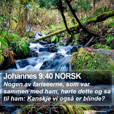 Johannes 9:40 NORSK Bible Verse Image