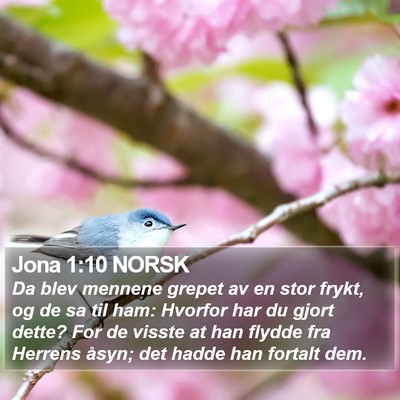 Jona 1:10 NORSK Bible Verse Image