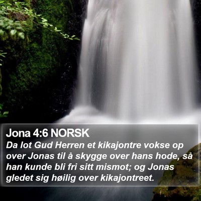 Jona 4:6 NORSK Bible Verse Image