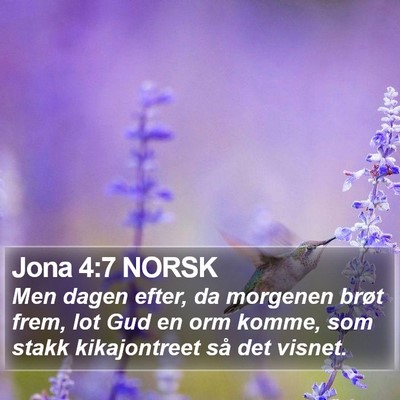 Jona 4:7 NORSK Bible Verse Image