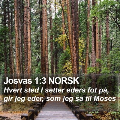 Josvas 1:3 NORSK Bible Verse Image