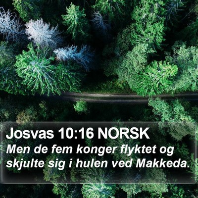 Josvas 10:16 NORSK Bible Verse Image