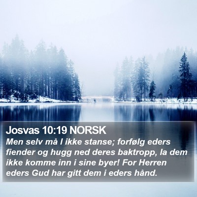 Josvas 10:19 NORSK Bible Verse Image