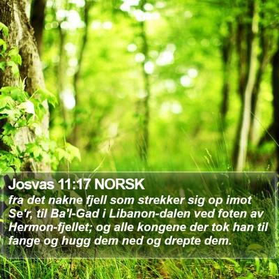 Josvas 11:17 NORSK Bible Verse Image