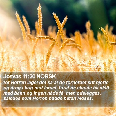 Josvas 11:20 NORSK Bible Verse Image