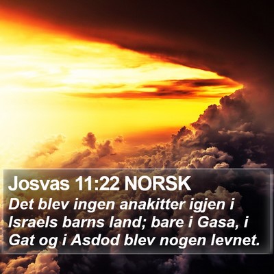Josvas 11:22 NORSK Bible Verse Image