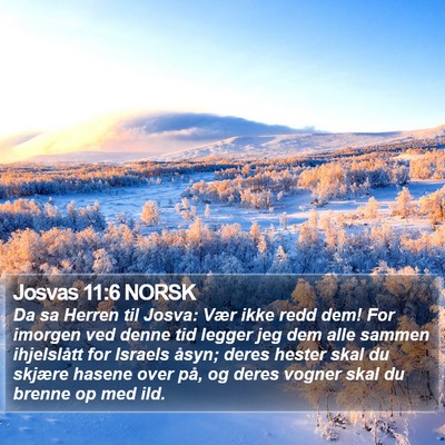 Josvas 11:6 NORSK Bible Verse Image