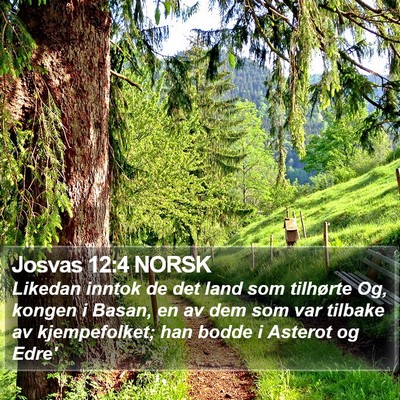 Josvas 12:4 NORSK Bible Verse Image