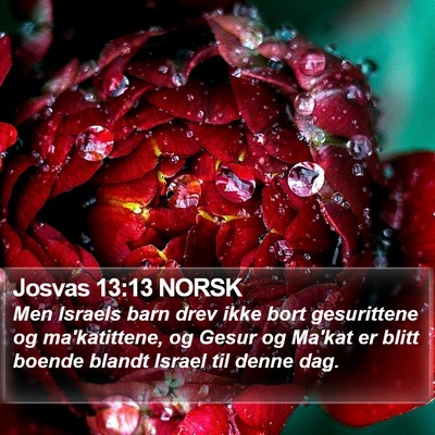 Josvas 13:13 NORSK Bible Verse Image