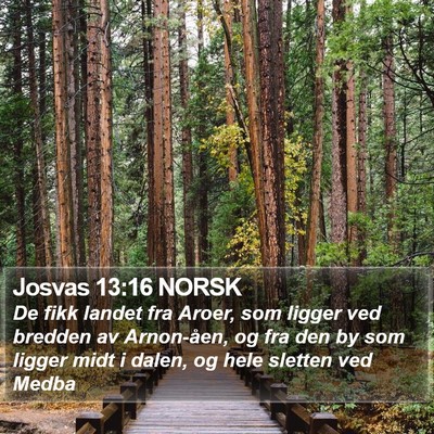 Josvas 13:16 NORSK Bible Verse Image