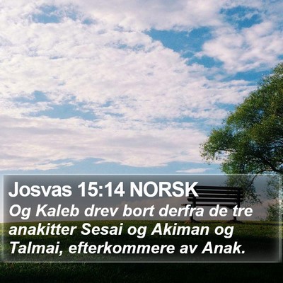 Josvas 15:14 NORSK Bible Verse Image