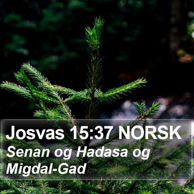 Josvas 15:37 NORSK Bible Verse Image