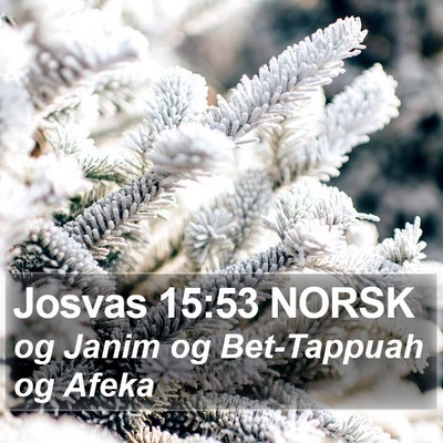 Josvas 15:53 NORSK Bible Verse Image
