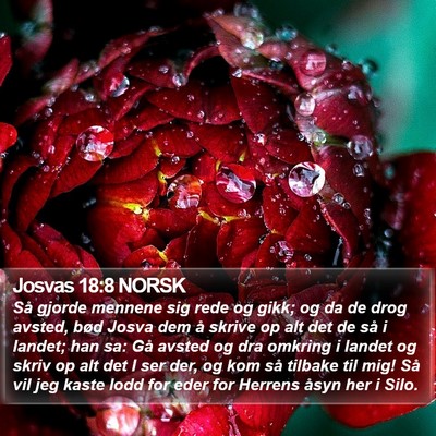 Josvas 18:8 NORSK Bible Verse Image