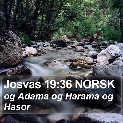 Josvas 19:36 NORSK Bible Verse Image