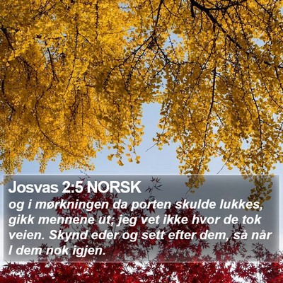Josvas 2:5 NORSK Bible Verse Image