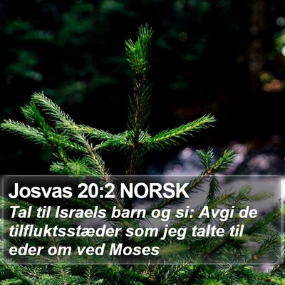 Josvas 20:2 NORSK Bible Verse Image