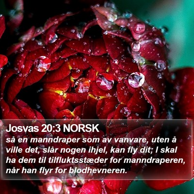 Josvas 20:3 NORSK Bible Verse Image