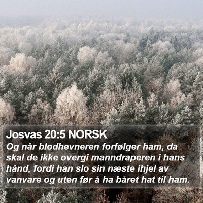 Josvas 20:5 NORSK Bible Verse Image