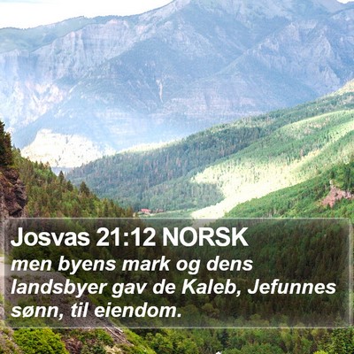 Josvas 21:12 NORSK Bible Verse Image