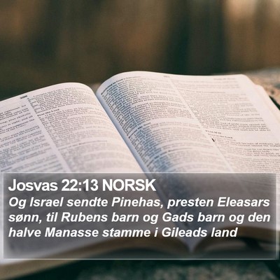 Josvas 22:13 NORSK Bible Verse Image
