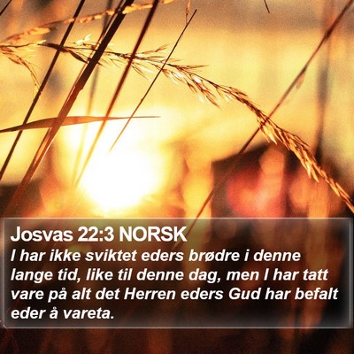 Josvas 22:3 NORSK Bible Verse Image