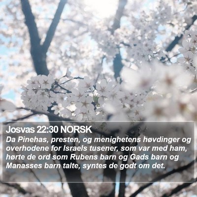 Josvas 22:30 NORSK Bible Verse Image