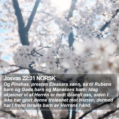 Josvas 22:31 NORSK Bible Verse Image