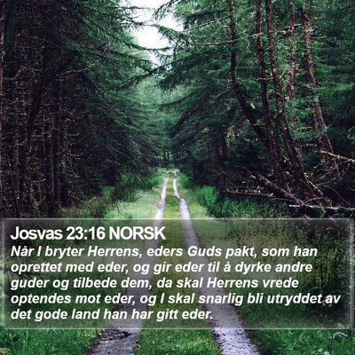 Josvas 23:16 NORSK Bible Verse Image