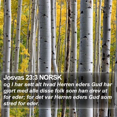 Josvas 23:3 NORSK Bible Verse Image