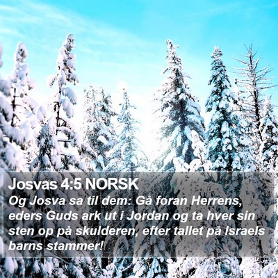 Josvas 4:5 NORSK Bible Verse Image