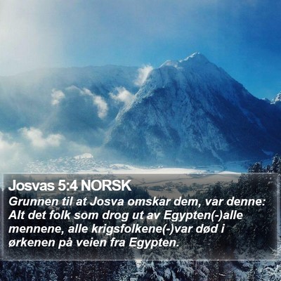 Josvas 5:4 NORSK Bible Verse Image
