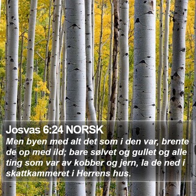 Josvas 6:24 NORSK Bible Verse Image